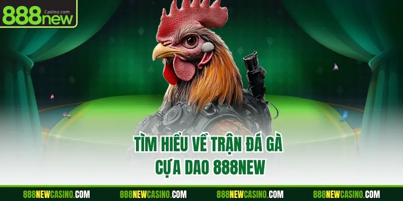 Tìm hiểu về trận đá gà cựa dao 888NEW